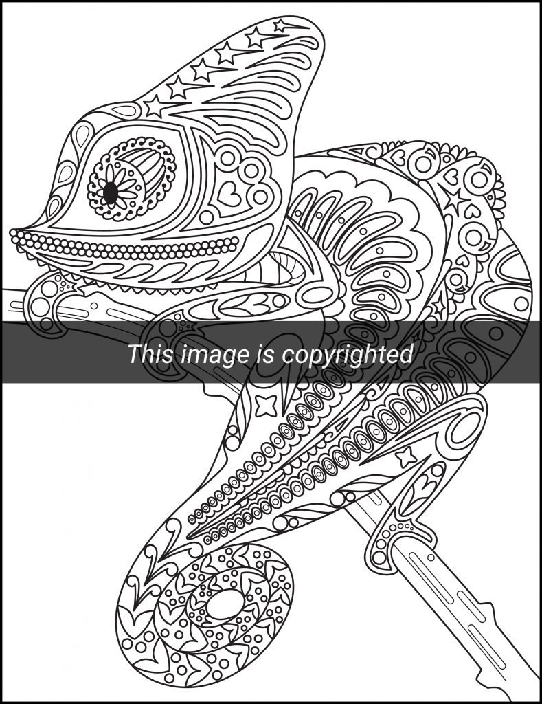 Sketched Animal Mandala for Adult Color Book · Creative Fabrica