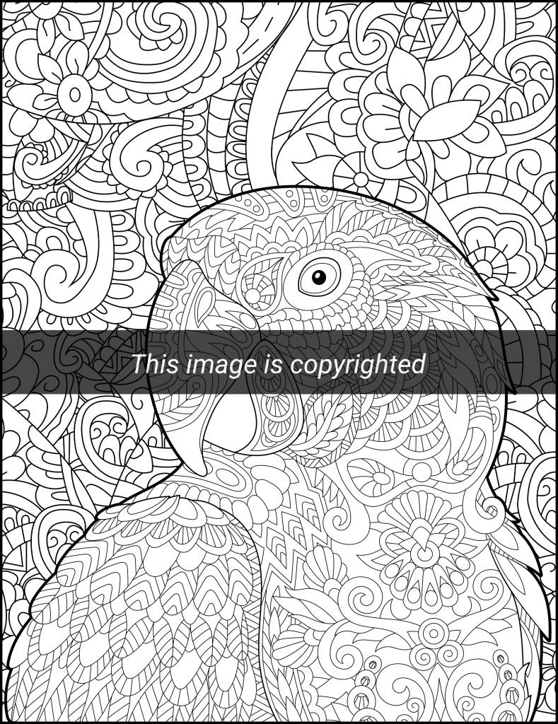 Sketched Animal Mandala for Adult Color Book · Creative Fabrica