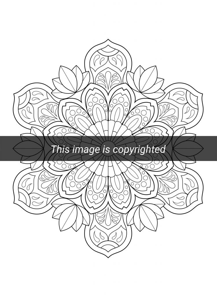 Mandalas Mystery Adult Coloring Books by Colorya - UAE